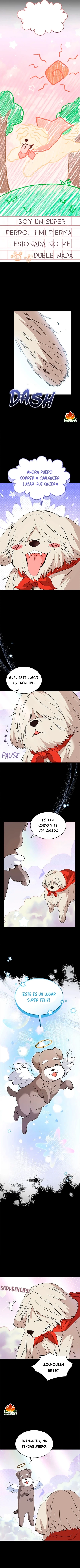 ¡Veterinario! ¿Hola? - Capítulo 48 - Página 8 - LectorTMOo