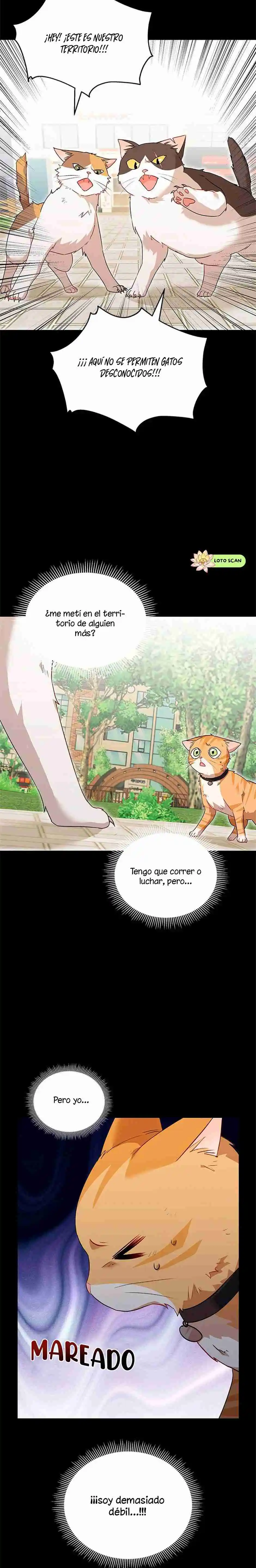 ¡Veterinario! ¿Hola? - Capítulo 7 - Página 13 - LectorTMOo