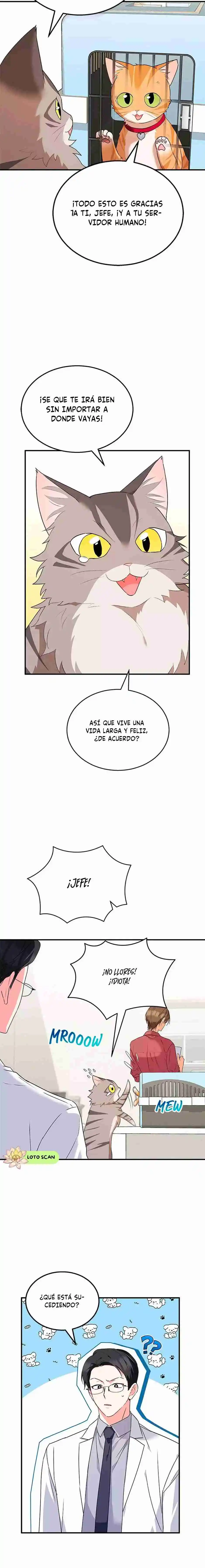 ¡Veterinario! ¿Hola? - Capítulo 8 - Página 18 - LectorTMOo