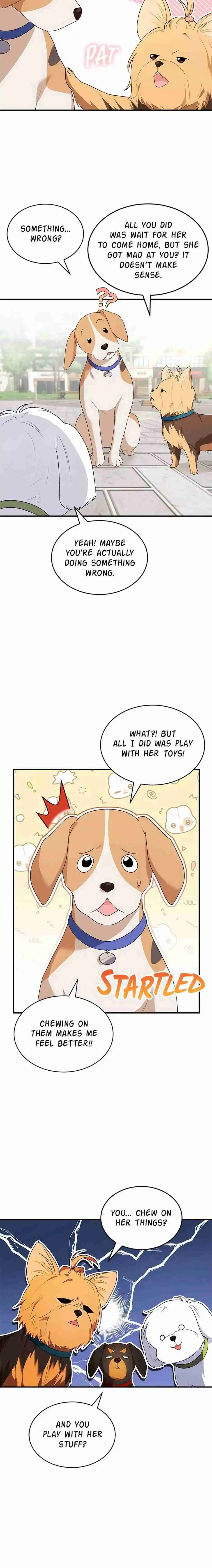 ¡Veterinario! ¿Hola? - Capítulo 9 - Página 11 - LectorTMOo