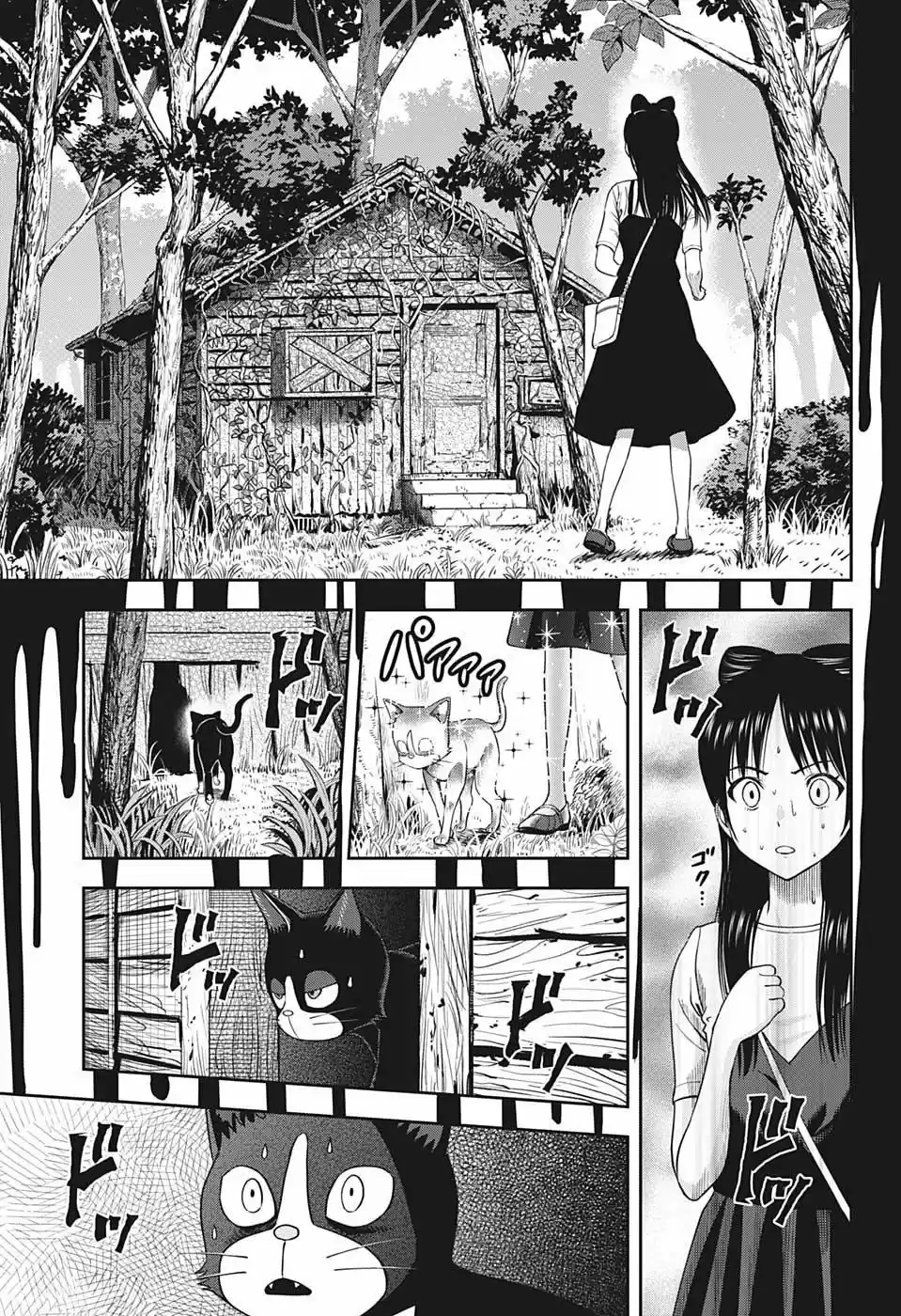 Witch Watch - Capítulo 21 - Página 17 - LectorTMOo