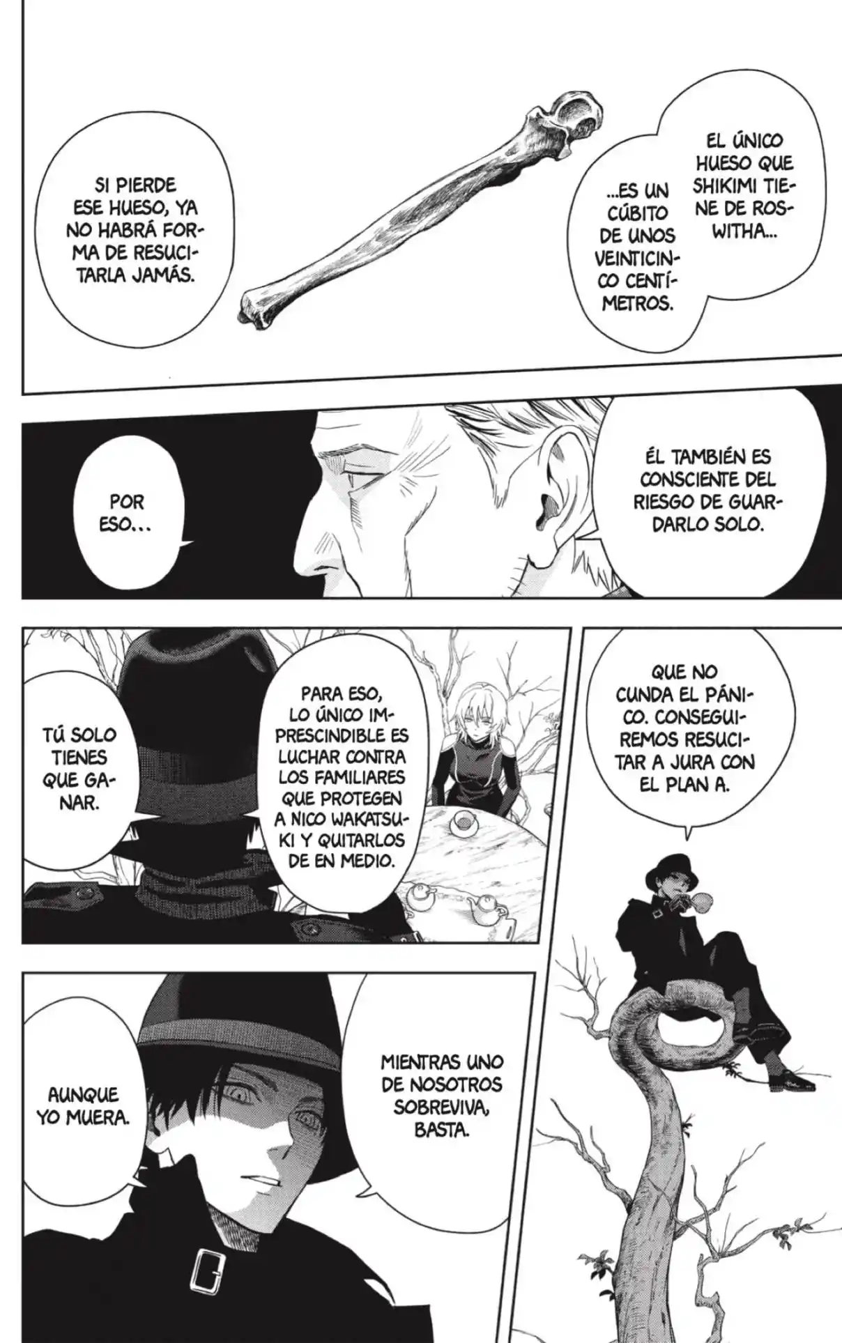 Witch Watch - Capítulo 227 - Página 14 - LectorTMOo