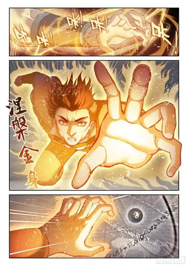 Wu Dong Qian Kun capítulo 213 página 10