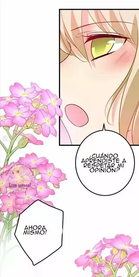 Zongcai Zai Shang - Capítulo 384 - Página 17 - LectorTMOo