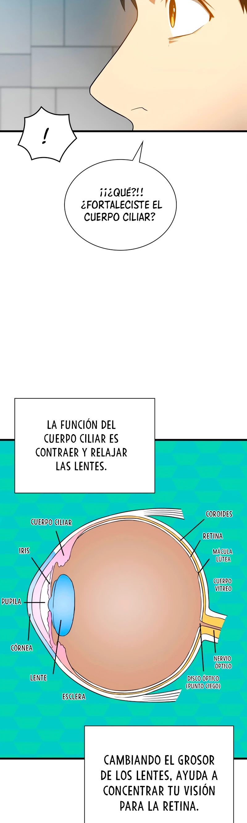 El cirujano perfecto - Capítulo 6 - Página 34 - LectorTMOo