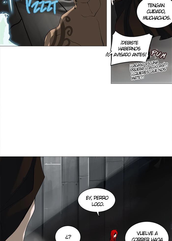 El irregular - Capítulo 236 - Página 73 - LectorTMOo