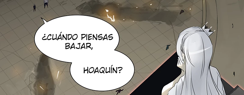 El irregular - Capítulo 242 - Página 101 - LectorTMOo