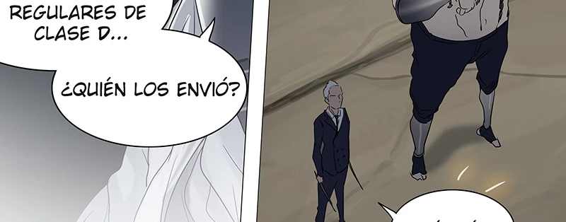 El irregular - Capítulo 242 - Página 106 - LectorTMOo