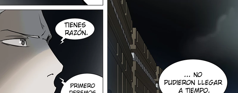 El irregular - Capítulo 242 - Página 167 - LectorTMOo