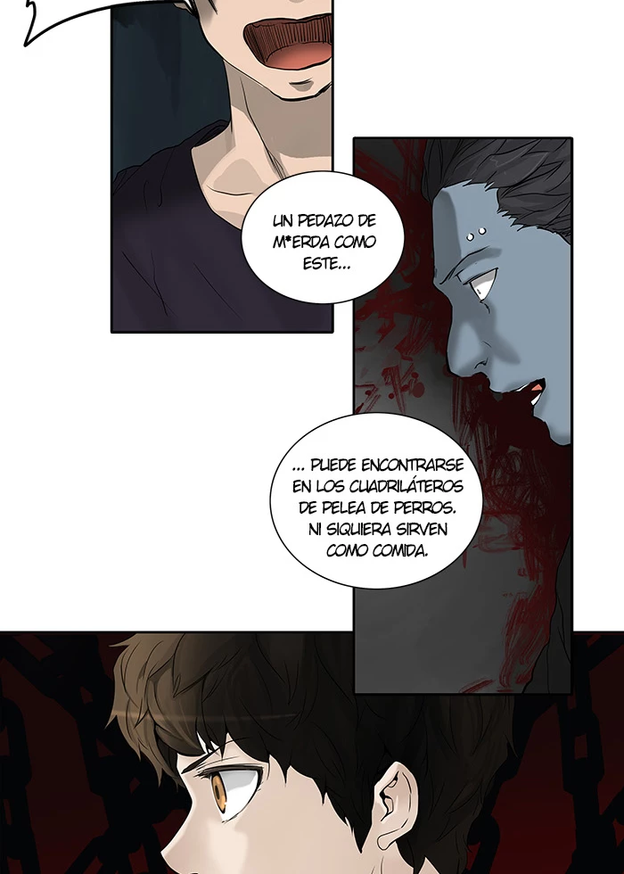 El irregular - Capítulo 257 - Página 74 - LectorTMOo