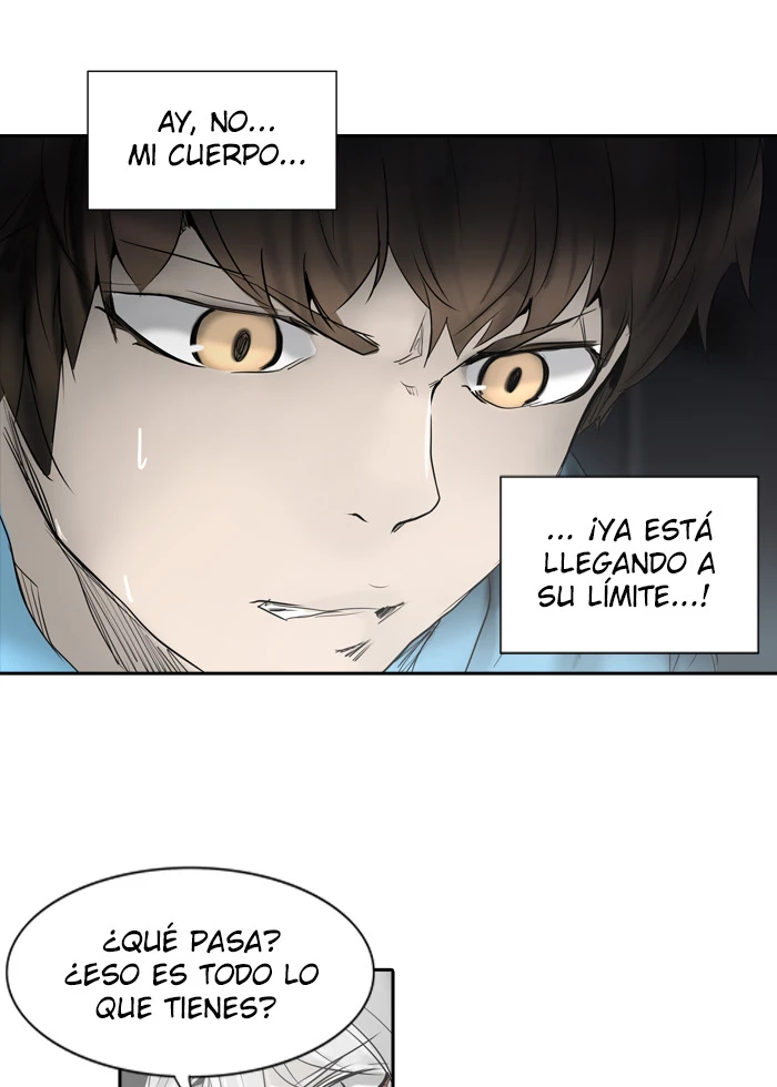 El irregular - Capítulo 266 - Página 95 - LectorTMOo