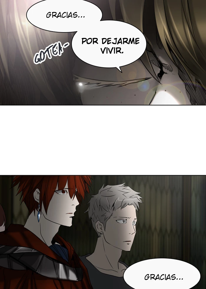 El irregular - Capítulo 274 - Página 25 - LectorTMOo