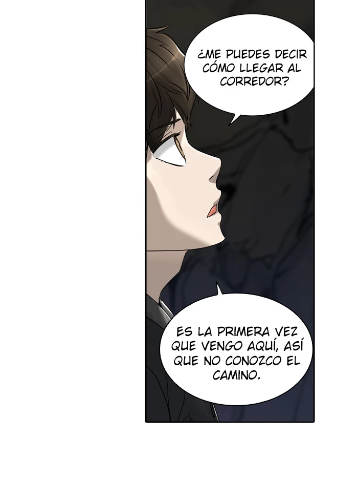 El irregular - Capítulo 289 - Página 95 - LectorTMOo