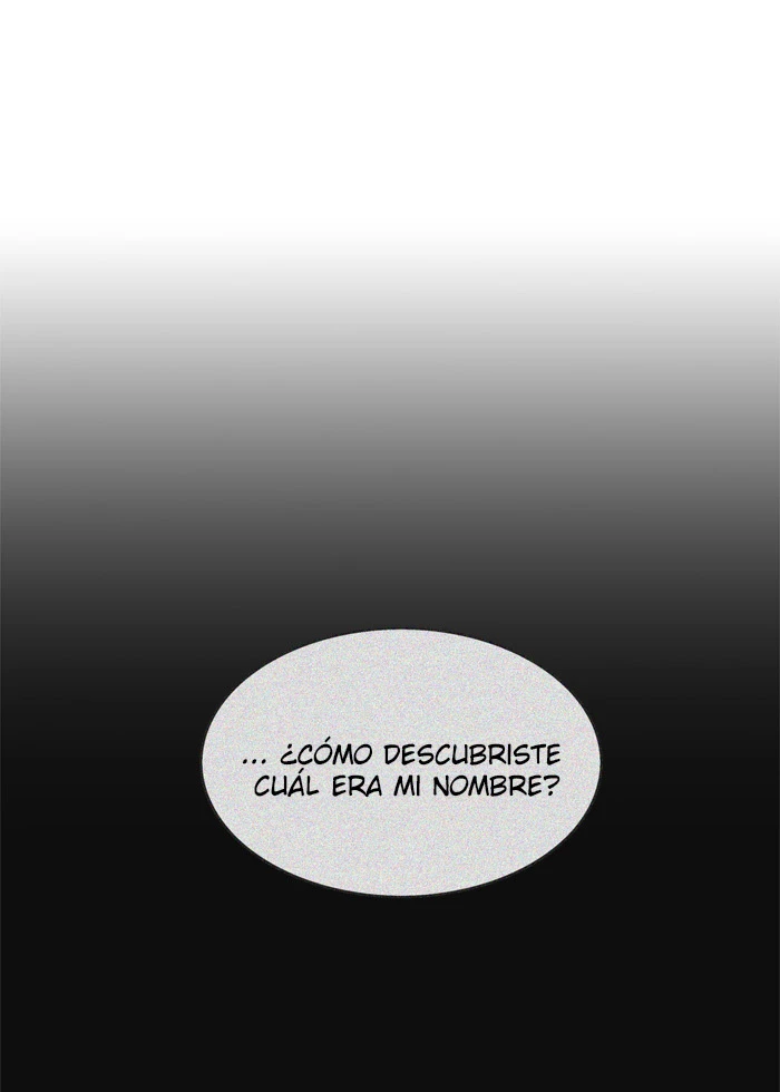 El irregular - Capítulo 300 - Página 118 - LectorTMOo