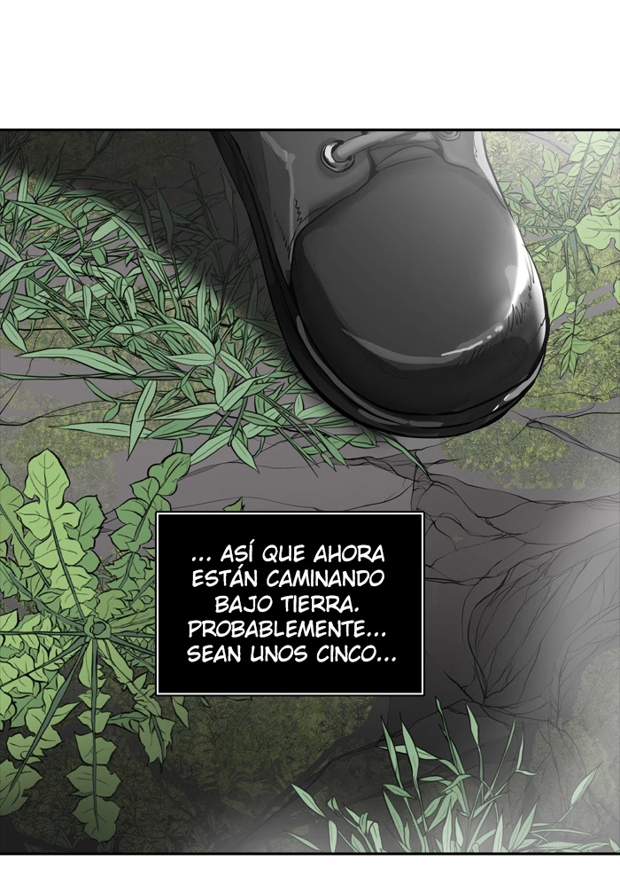El irregular - Capítulo 374 - Página 101 - LectorTMOo