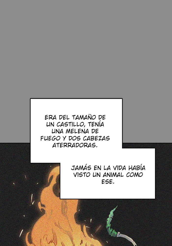 El irregular - Capítulo 494 - Página 25 - LectorTMOo