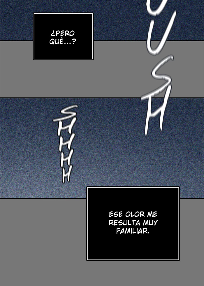 El irregular - Capítulo 503 - Página 114 - LectorTMOo