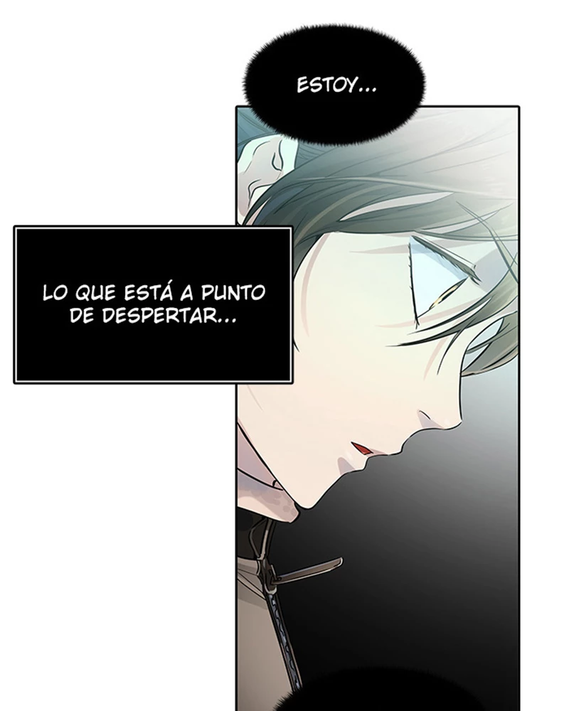 El irregular - Capítulo 531 - Página 99 - LectorTMOo