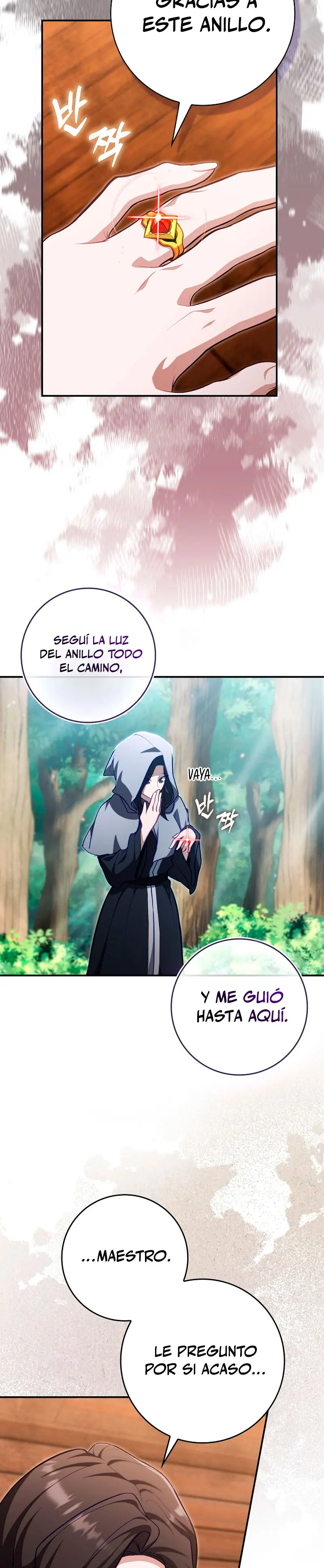 Jugador de nivel máximo - Capítulo 136 - Página 27 - LectorTMOo