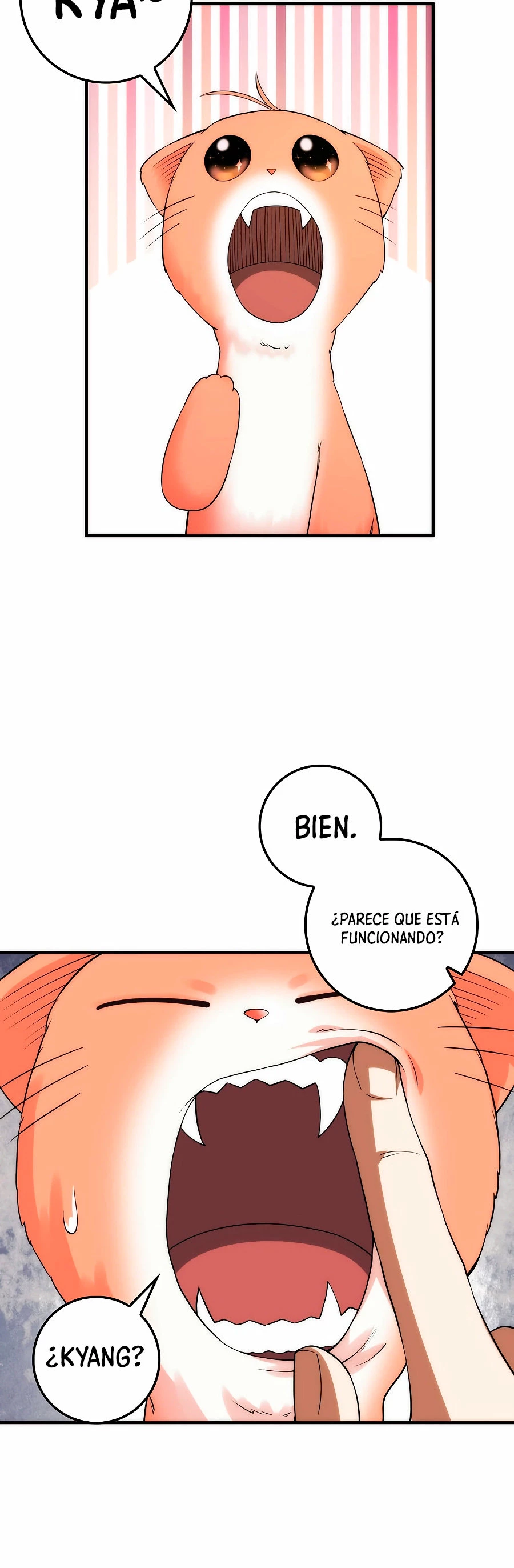 El dinero del Lord no disminuye capítulo 31 página 17