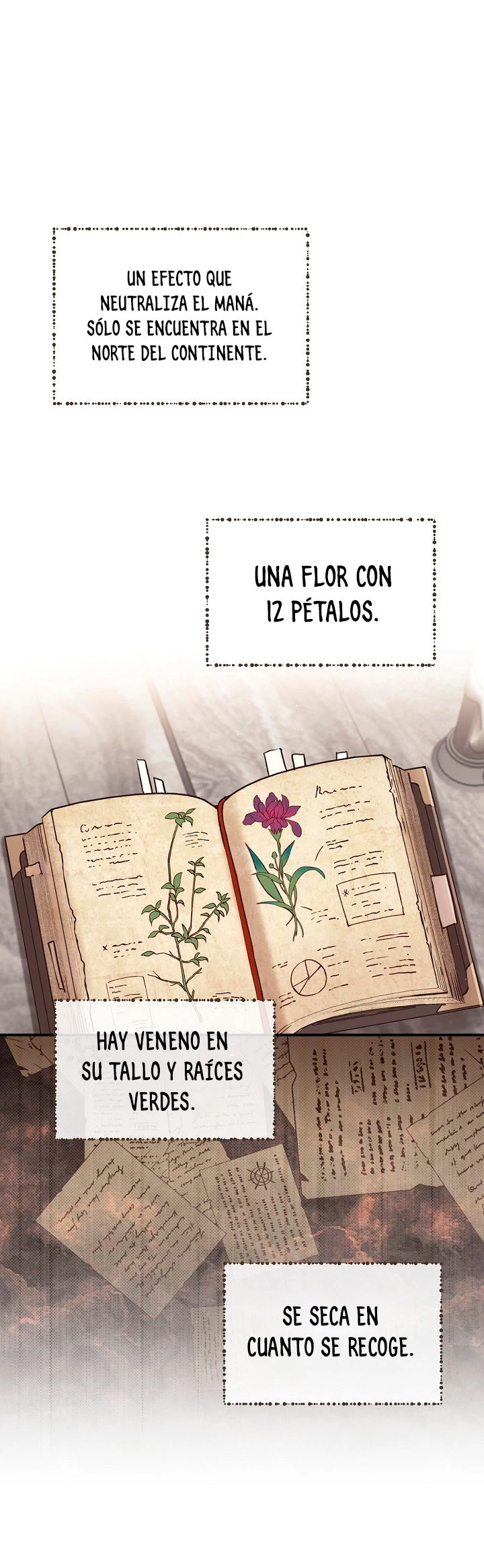 El Retorno Del Mago De 8ª Clase - Capítulo 8 - Página 21 - LectorTMOo