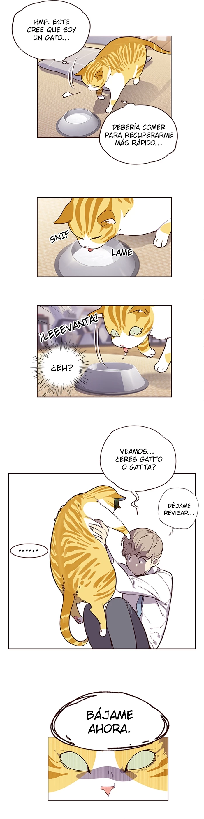 Rayito - Capítulo 1 - Página 27 - LectorTMOo