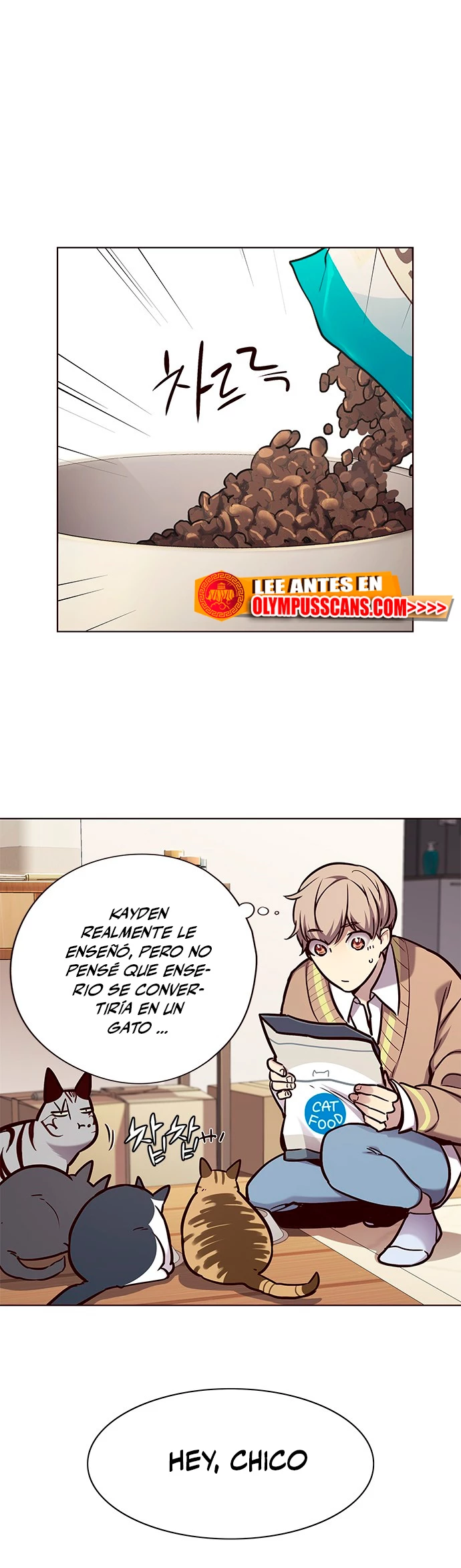 Rayito - Capítulo 143 - Página 17 - LectorTMOo
