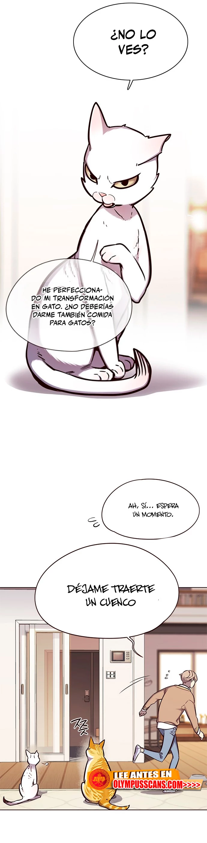 Rayito - Capítulo 143 - Página 19 - LectorTMOo