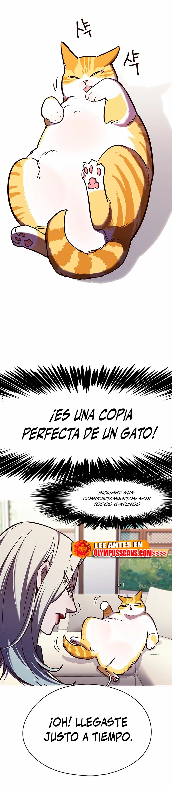Rayito - Capítulo 141 - Página 24 - LectorTMOo