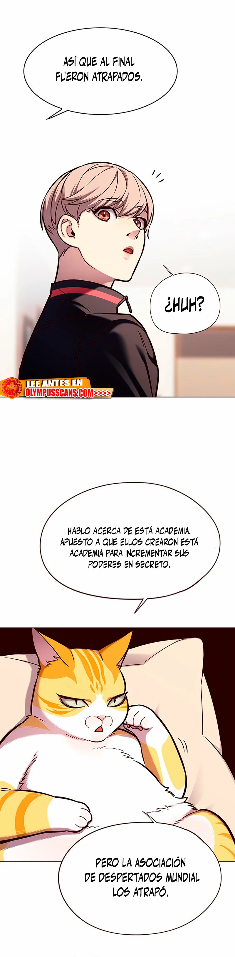 Rayito - Capítulo 146 - Página 17 - LectorTMOo
