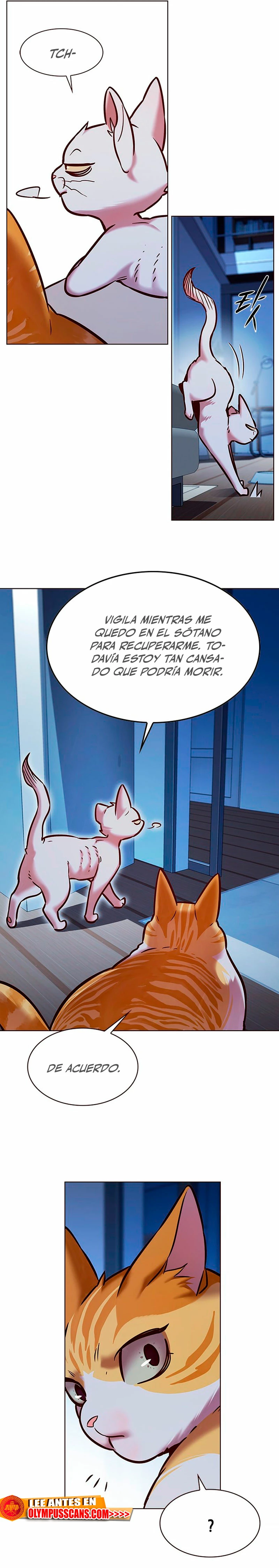 Rayito - Capítulo 229 - Página 23 - LectorTMOo