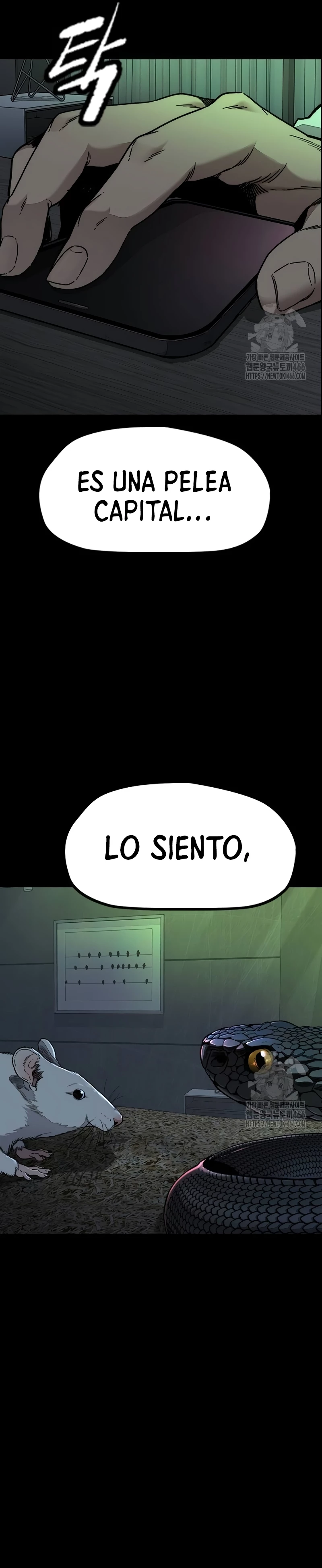 RompeVientos - Capítulo 523 - Página 44 - LectorTMOo