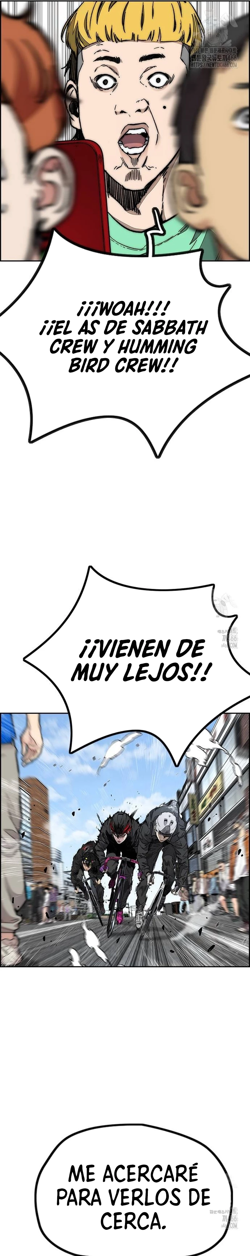 RompeVientos - Capítulo 530 - Página 24 - LectorTMOo