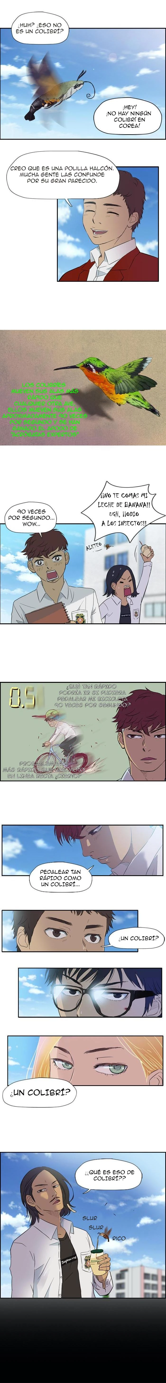 RompeVientos - Capítulo 28 - Página 8 - LectorTMOo