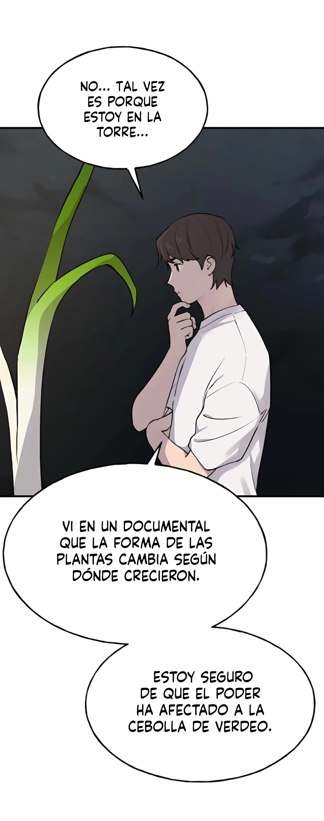 Cultivando solo en la torre - Capítulo 2 - Página 75 - LectorTMOo