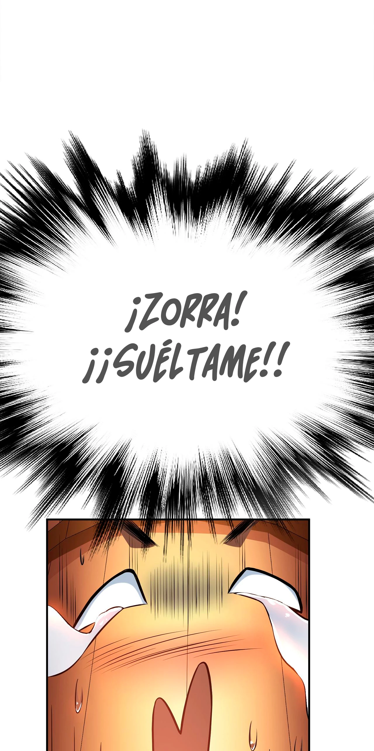 EL Papel del Héroe y el Harem ahora serán Míos - Capítulo 24 - Página 19 - LectorTMOo