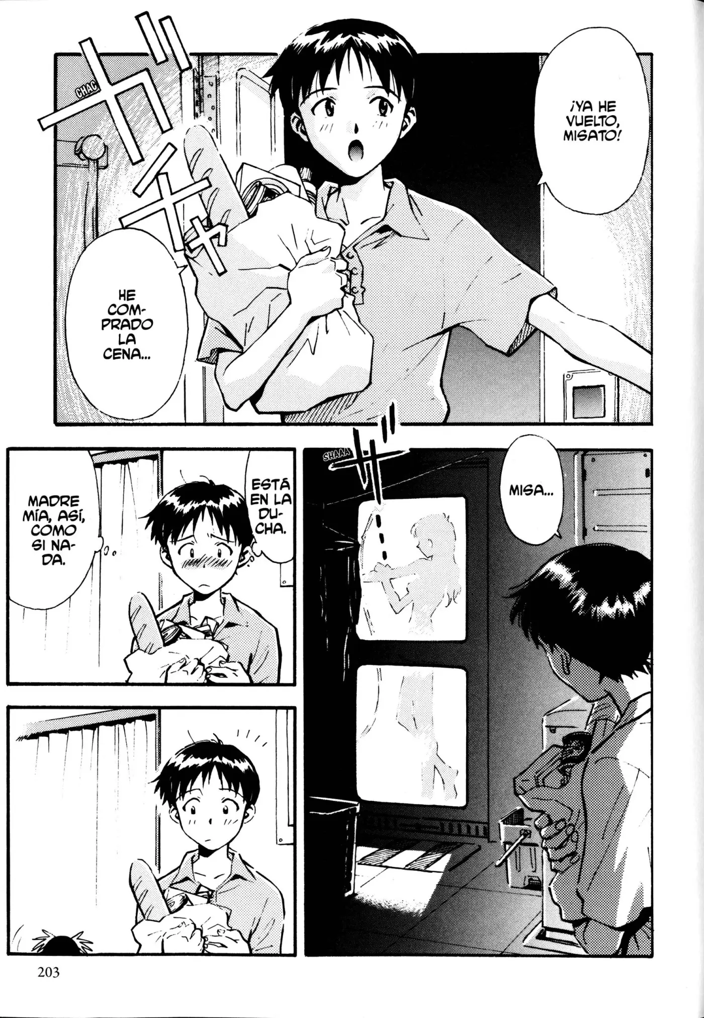 Neon Genesis Evangelion (ED Coleccionista) - Capítulo 1 - Página 203 - LectorTMOo