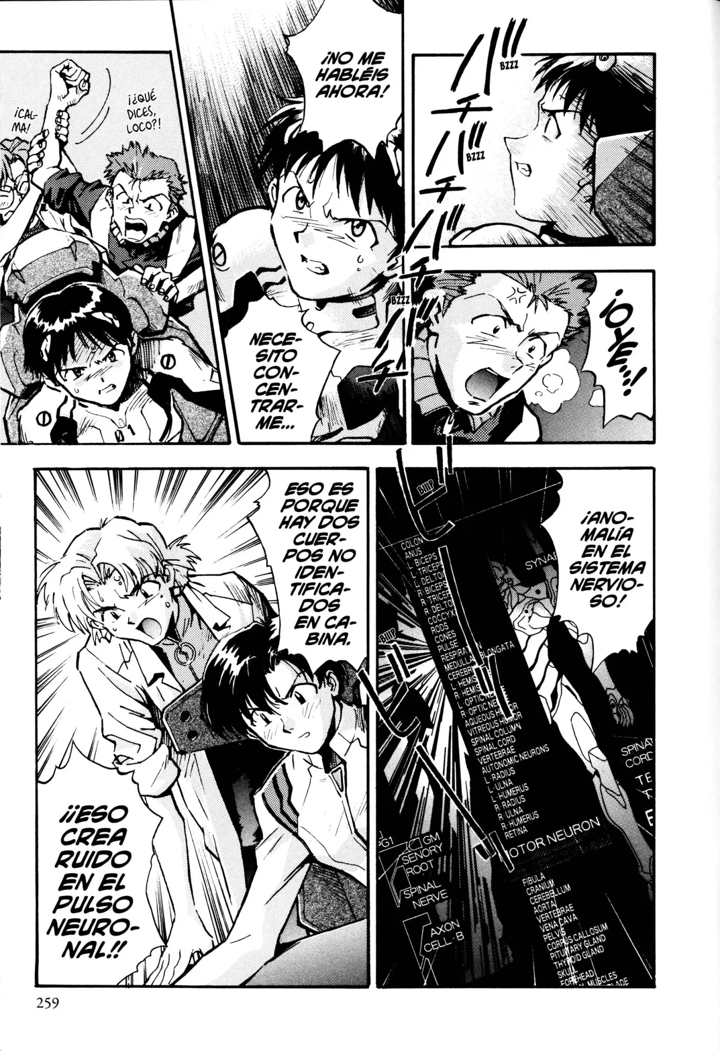 Neon Genesis Evangelion (ED Coleccionista) - Capítulo 1 - Página 258 - LectorTMOo