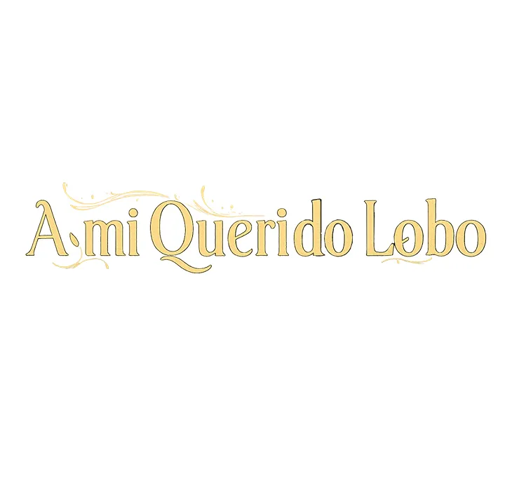 A Mi Querido Lobo - Capítulo 16 - Página 27 - LectorTMOo
