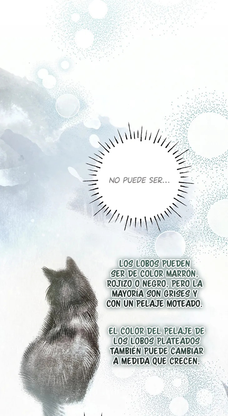 A Mi Querido Lobo - Capítulo 18 - Página 51 - LectorTMOo