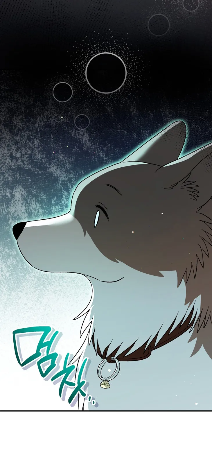 A Mi Querido Lobo - Capítulo 19 - Página 65 - LectorTMOo