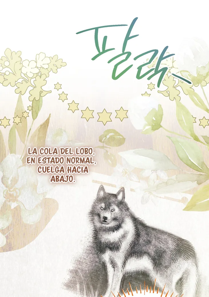 A Mi Querido Lobo - Capítulo 9 - Página 67 - LectorTMOo