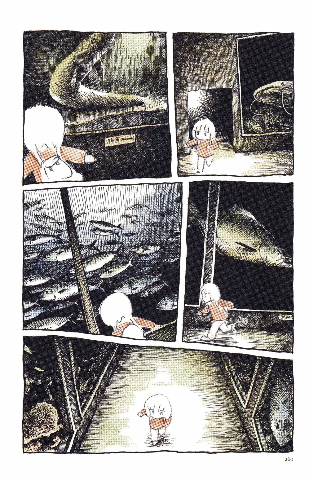 Acuario Ashizuri - Capítulo 12 - Página 3 - LectorTMOo