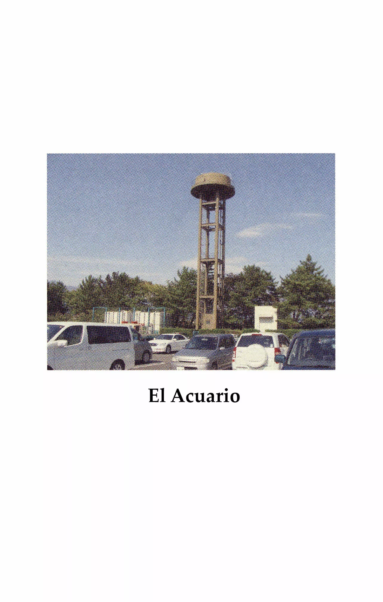 Acuario Ashizuri - Capítulo 12 - Página 7 - LectorTMOo