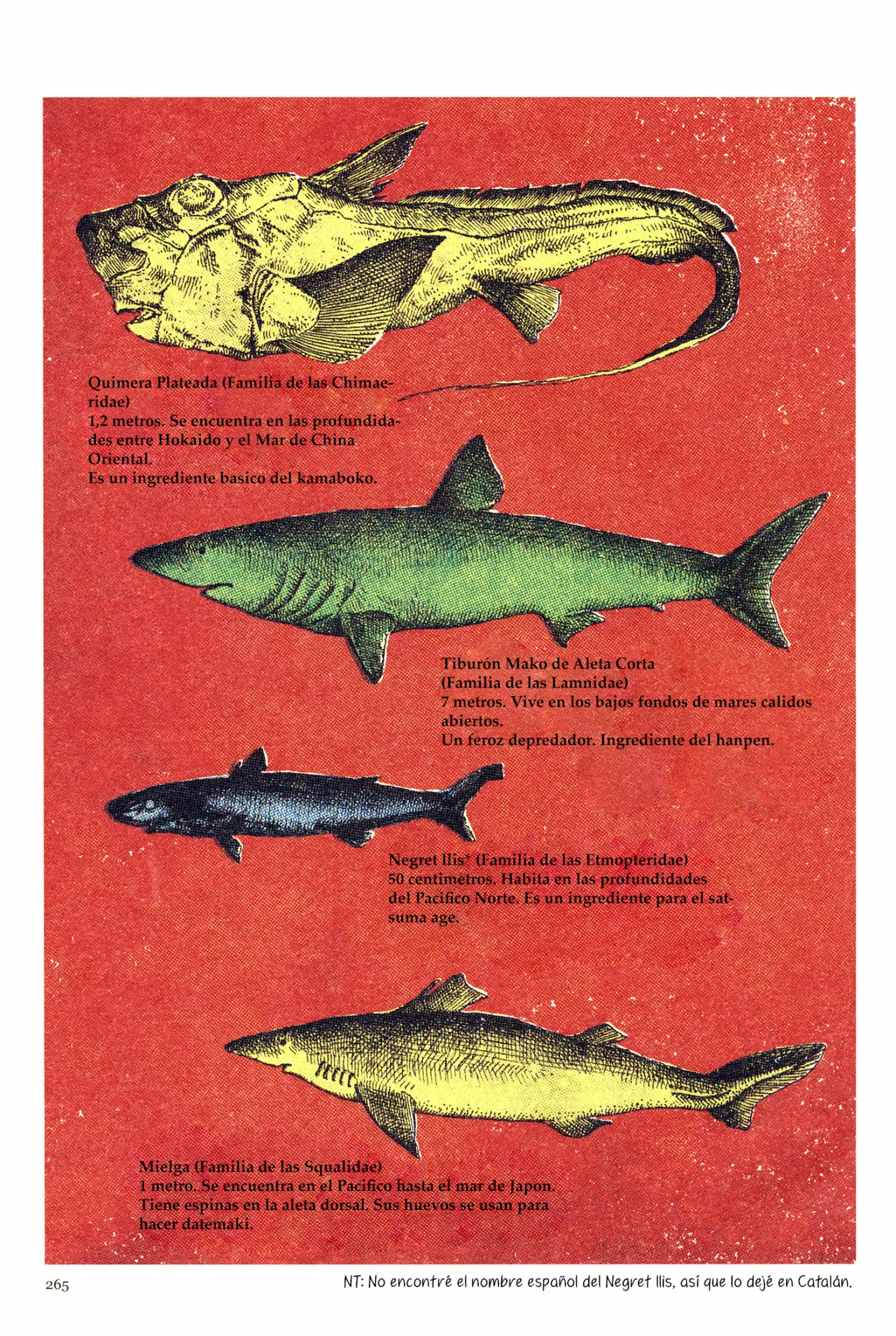 Acuario Ashizuri - Capítulo 12 - Página 8 - LectorTMOo