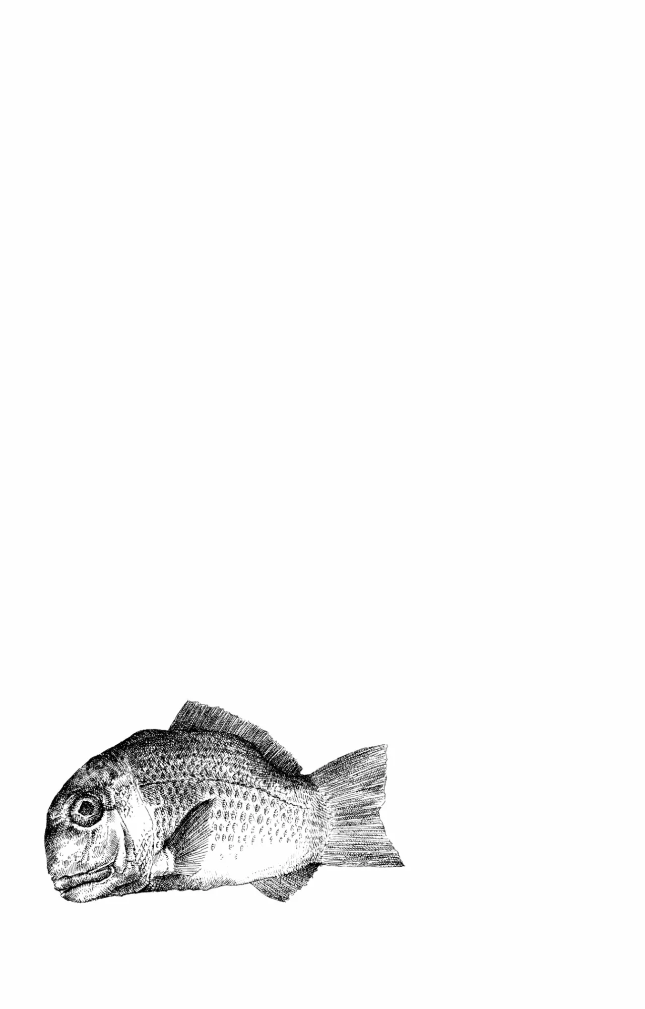 Acuario Ashizuri - Capítulo 3 - Página 8 - LectorTMOo