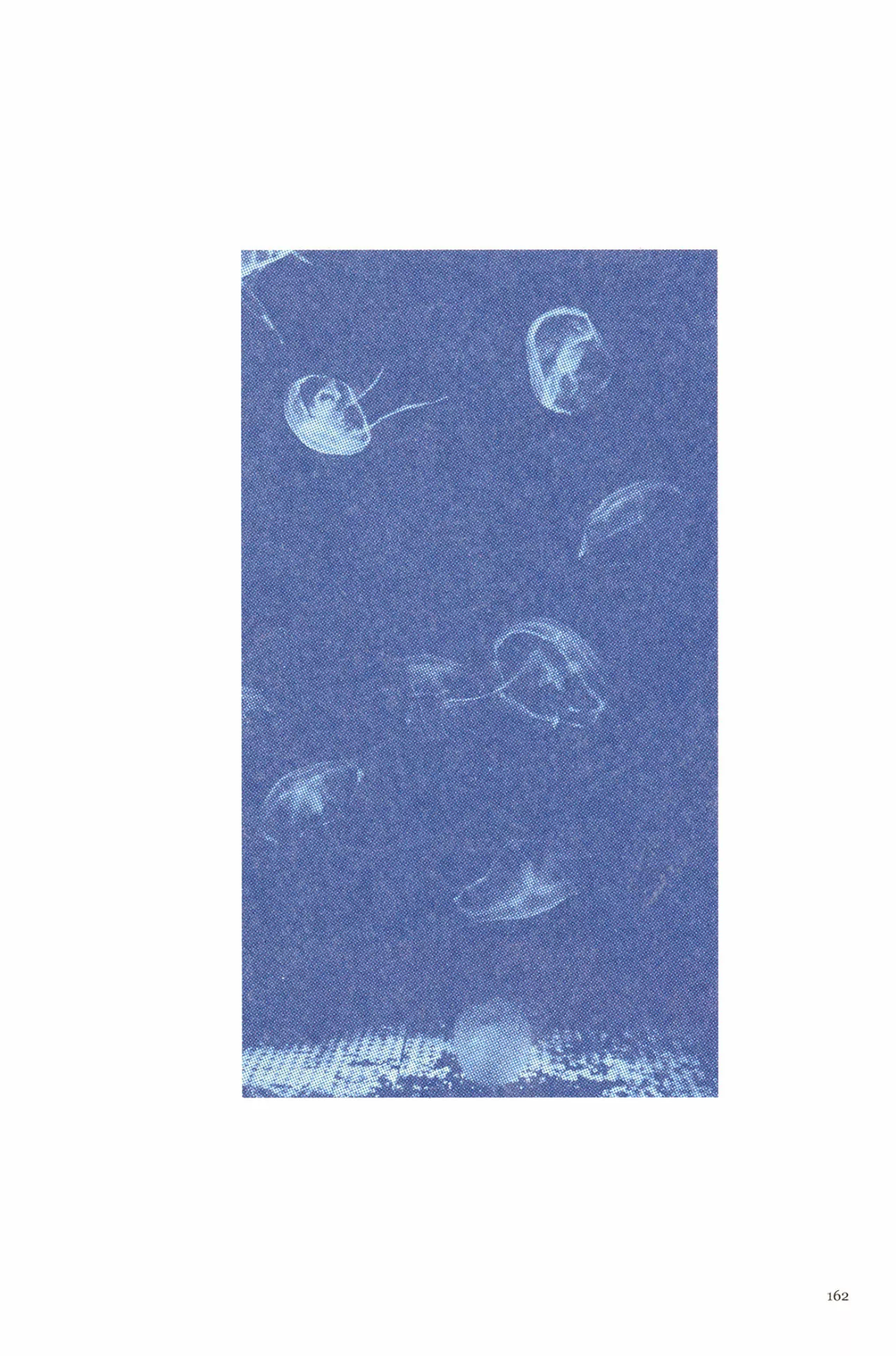 Acuario Ashizuri - Capítulo 7 - Página 12 - LectorTMOo