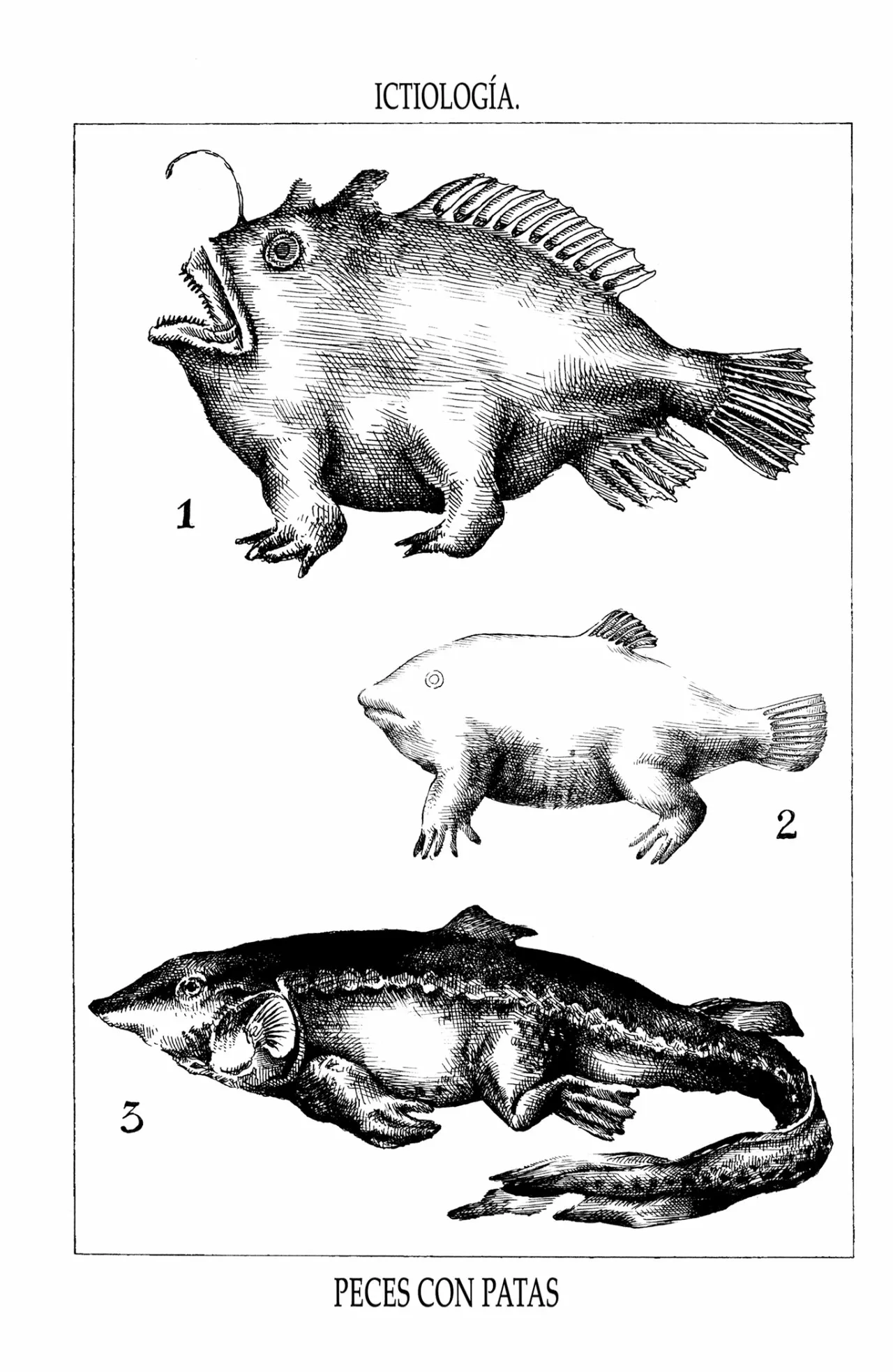 Acuario Ashizuri - Capítulo 7 - Página 14 - LectorTMOo