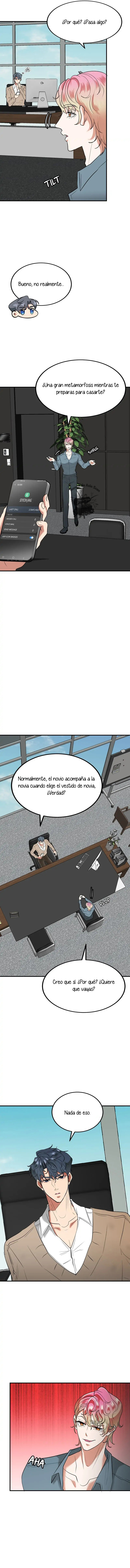 Carnaval de Amor - Capítulo 18 - Página 8 - LectorTMOo