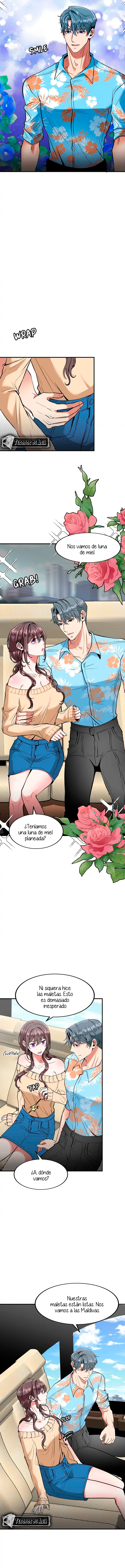 Carnaval de Amor - Capítulo 36 - Página 7 - LectorTMOo
